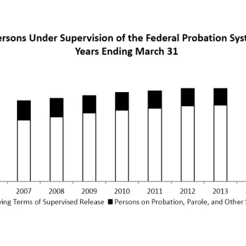 Persons Under Supervision of the Federal Probation System