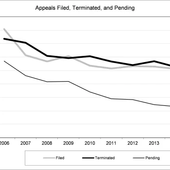 Appeals Filed, Terminated, and Pending