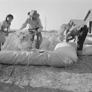 As recalled by Judge A. Wallace Tashima, internees at the Poston War Relocation Center created their own mattresses by stuffing bags with hay.